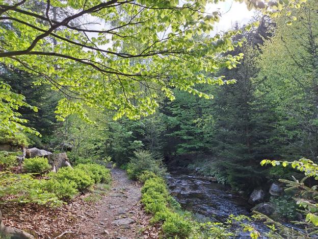 Prodej pozemku, Stará Ves, 2097 m2