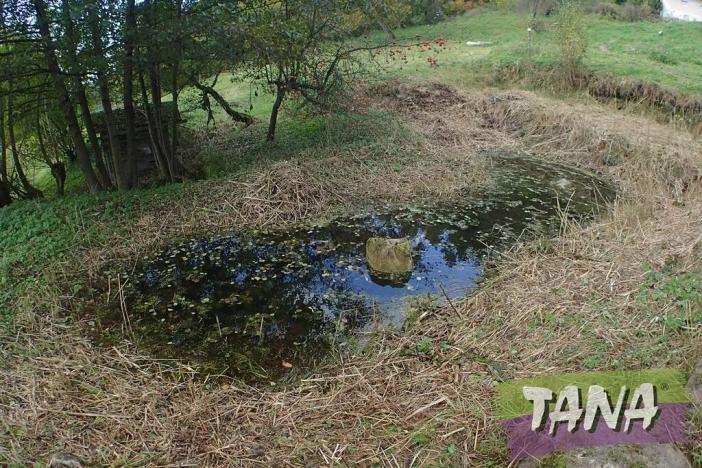 Prodej pozemku pro bydlení, Koberovy, 9985 m2