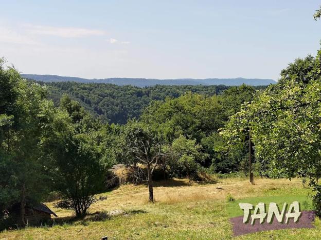 Prodej pozemku pro bydlení, Koberovy, 9985 m2