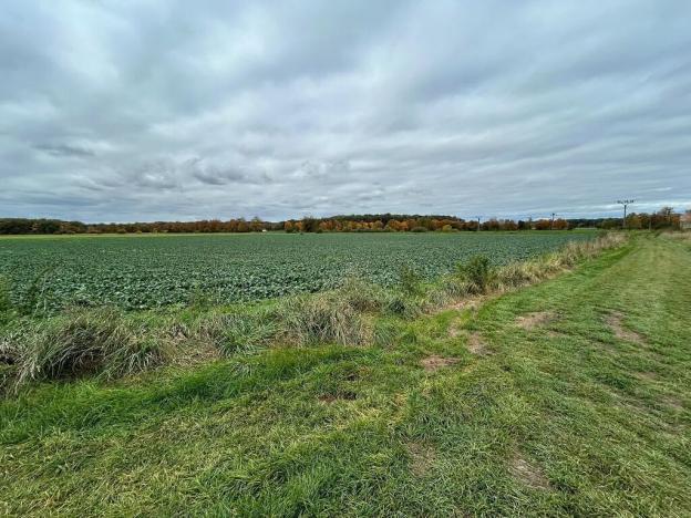 Dražba pozemku, Mokré, 1800 m2