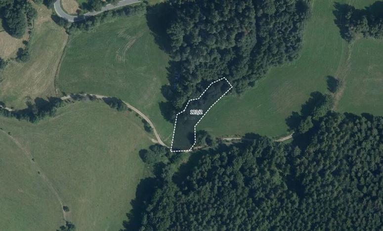 Prodej louky, Zborov, 9806 m2