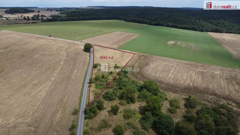 Prodej pozemku, Sýkořice, 3943 m2