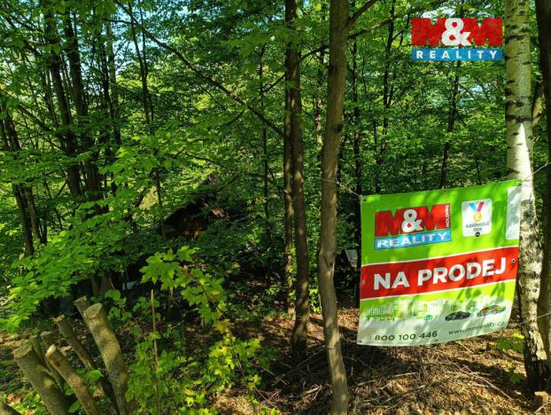 Prodej chaty, Rychnov nad Kněžnou, 25 m2