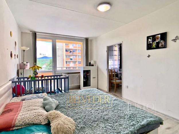 Prodej bytu 2+1, Bílina, Aléská, 48 m2