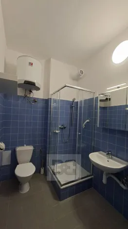 Pronájem bytu 1+kk, Praha - Podolí, U Kublova, 25 m2
