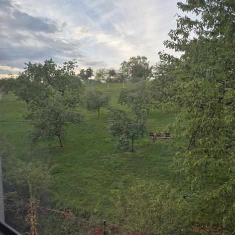 Pronájem kanceláře, Praha - Michle, Pod Stárkou