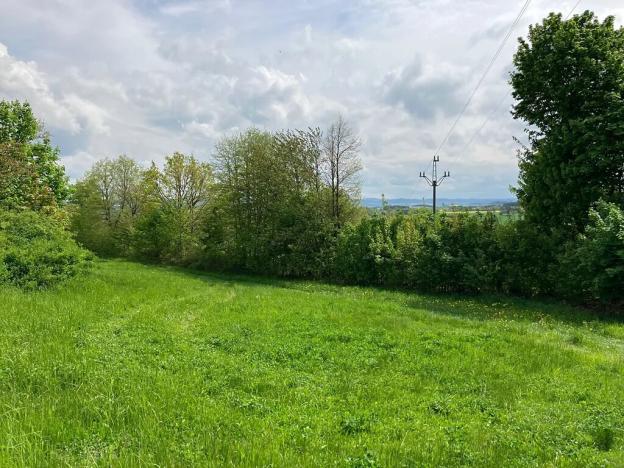 Prodej pozemku pro bydlení, Vysoký Chlumec, 2553 m2