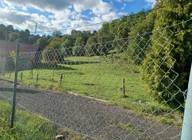 Dražba pozemku, Heřmanov, 8127 m2