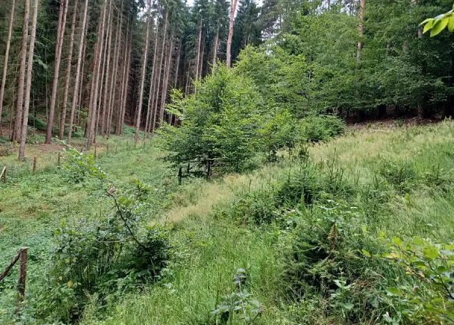 Dražba pozemku, Blatce, 2275 m2