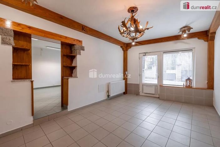 Prodej obchodního prostoru, Mladá Boleslav, Viničná, 107 m2