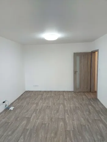 Pronájem bytu 1+1, Hodonín, Brandlova, 40 m2