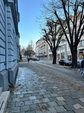 Pronájem bytu 3+kk, Prostějov, Netušilova, 95 m2