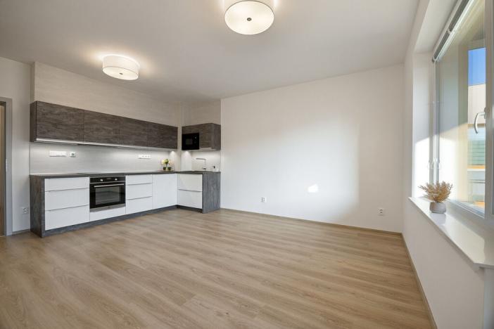 Pronájem bytu 1+kk, Frýdek-Místek - Frýdek, Nové Dvory-Podhůří, 41 m2