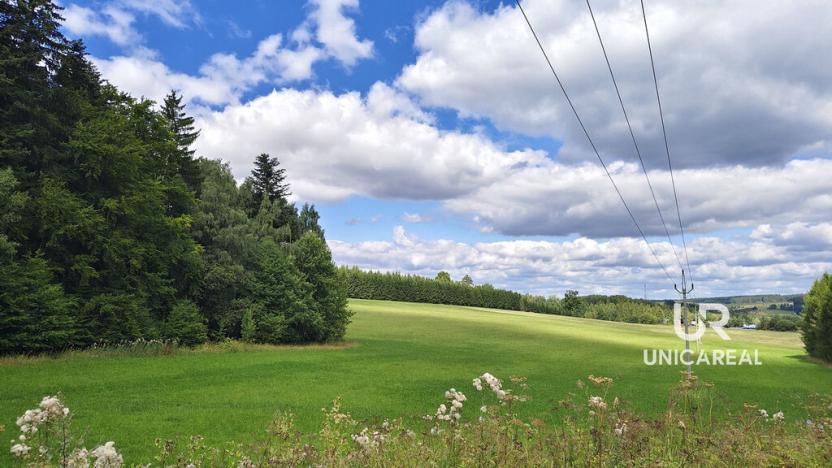 Prodej rodinného domu, Kamenná Horka, 273 m2