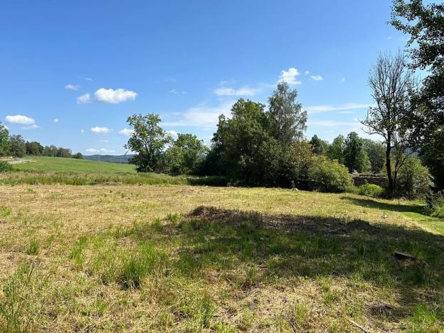 Prodej pozemku pro bydlení, Horní Planá, 4593 m2