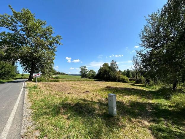 Prodej pozemku pro bydlení, Horní Planá, 4593 m2