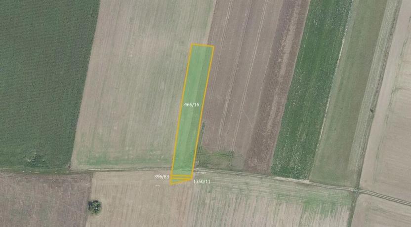 Prodej pole, Městec Králové, 17054 m2