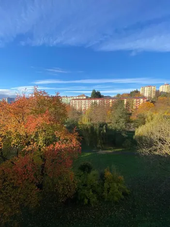 Prodej bytu 3+1, Uherský Brod, Družstevní, 72 m2