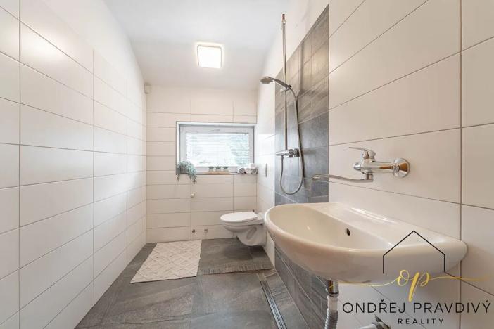 Prodej činžovního domu, Lety, Sokolská, 265 m2