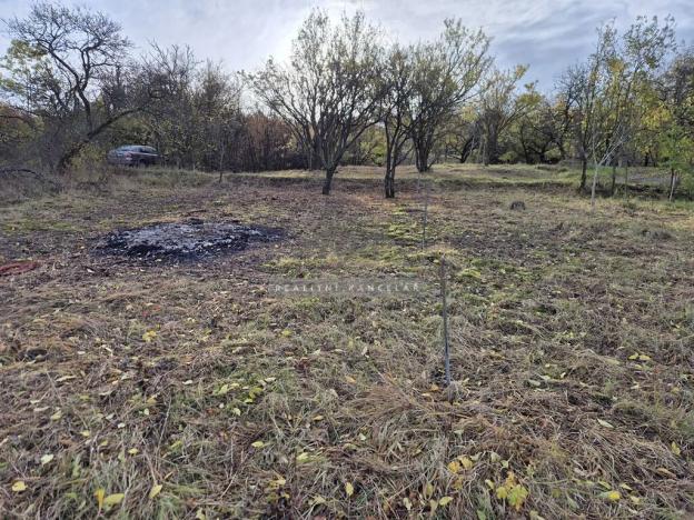 Prodej zahrady, Židlochovice, 1185 m2