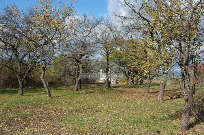 Prodej chaty, Židlochovice, 27 m2