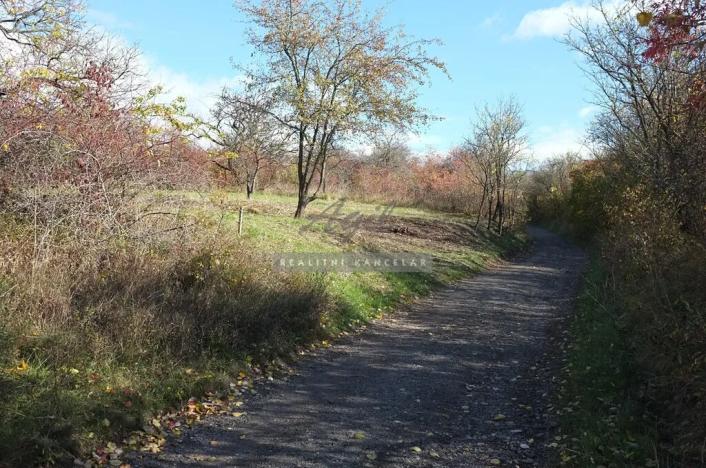 Prodej chaty, Židlochovice, 27 m2