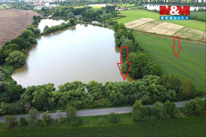 Prodej rybníku, Český Brod - Liblice, 6053 m2