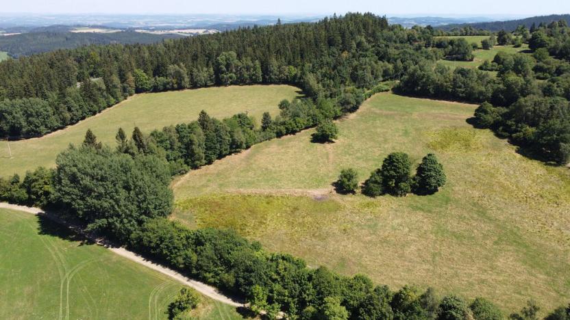 Prodej pole, Strašín, 33901 m2