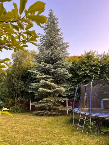 Pronájem vily, Statenice, 180 m2