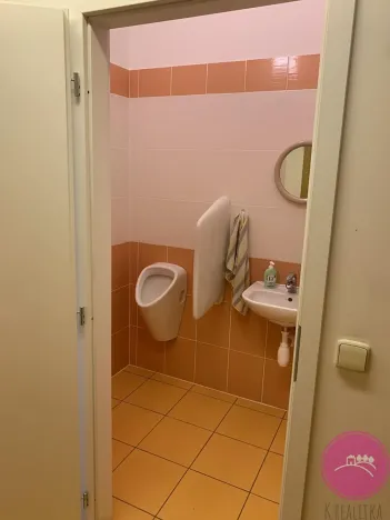 Pronájem kanceláře, Olomouc, 14 m2