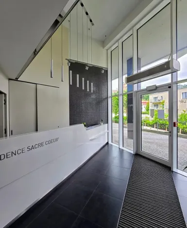 Prodej atypického bytu, Praha - Smíchov, Holečkova, 182 m2