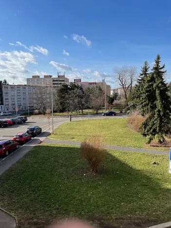 Pronájem bytu 2+1, Praha - Vinohrady, Mrštíkova, 63 m2