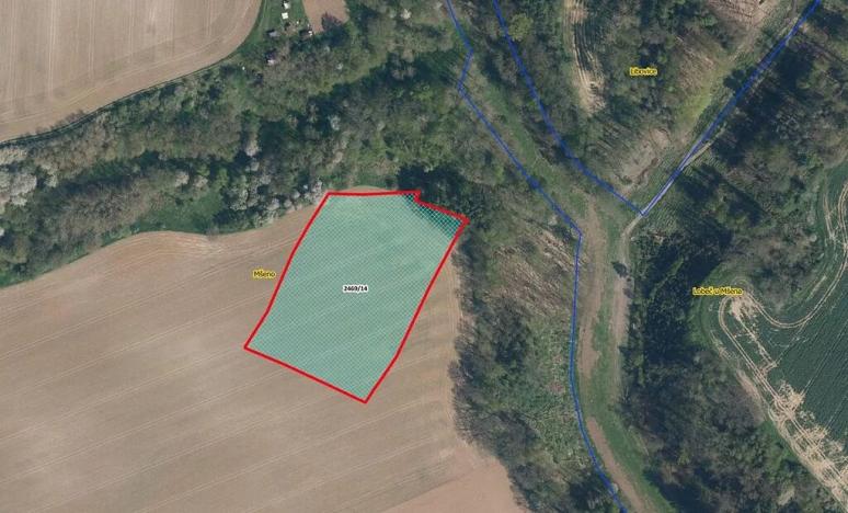 Prodej pole, Mšeno, 9988 m2