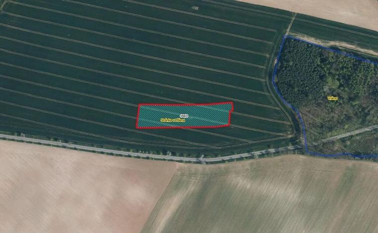 Prodej pole, Stránka, 7066 m2