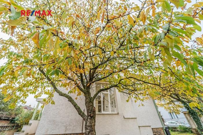 Prodej rodinného domu, Český Brod, Svatopluka Čecha, 214 m2