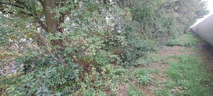 Prodej komerčního pozemku, Měšice, 2035 m2