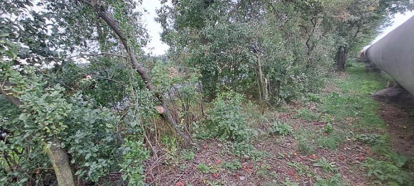 Prodej komerčního pozemku, Měšice, 2035 m2