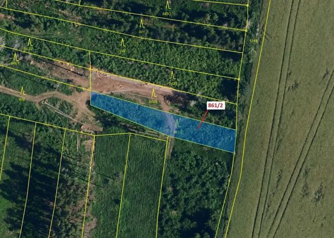 Dražba lesa, Moravské Budějovice, 834 m2