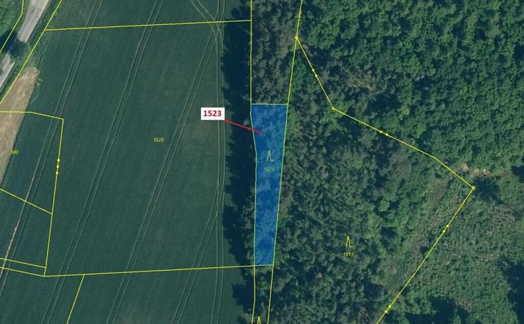 Dražba lesa, Hradiště, 645 m2