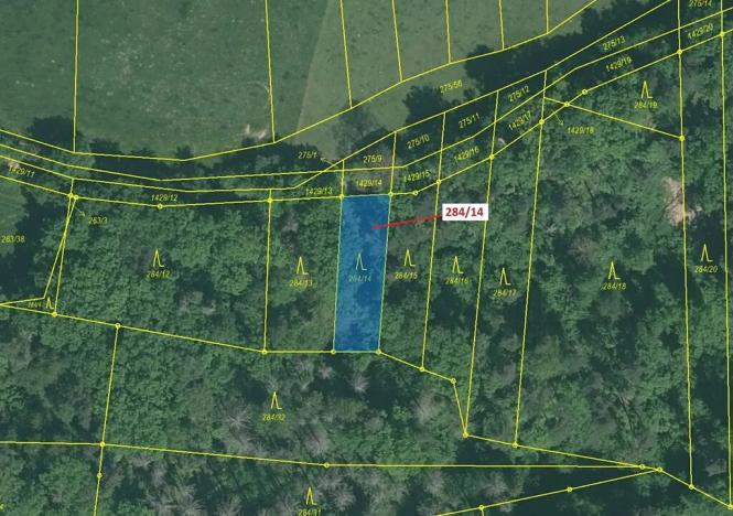 Dražba lesa, Milavče, 441 m2