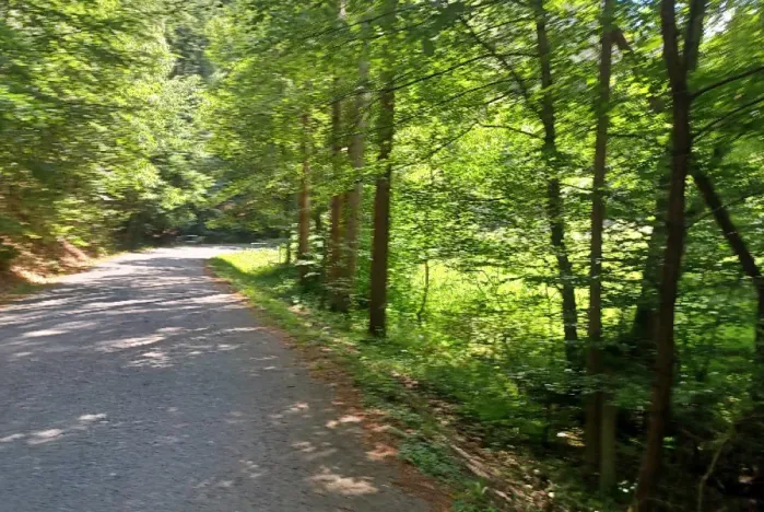 Dražba pozemku, Jestřebí, 13769 m2