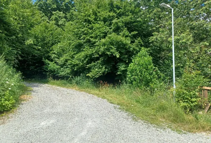 Dražba pozemku, Chlum, 12440 m2