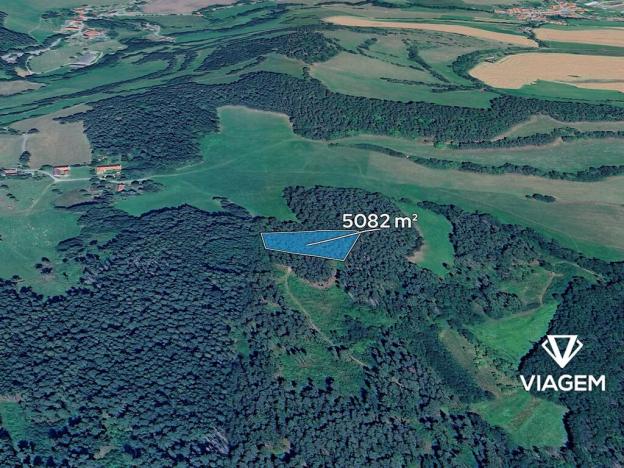 Prodej podílu lesa, Volyně, 1129 m2