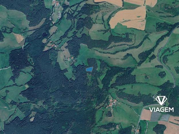 Prodej podílu lesa, Volyně, 1129 m2