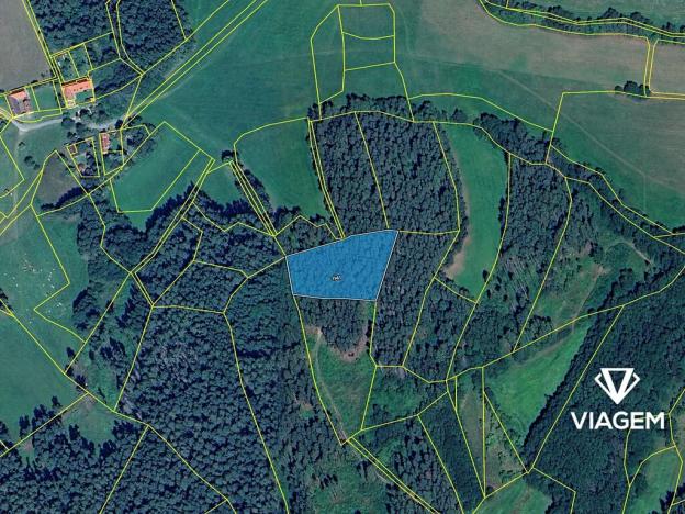 Prodej podílu lesa, Volyně, 1129 m2