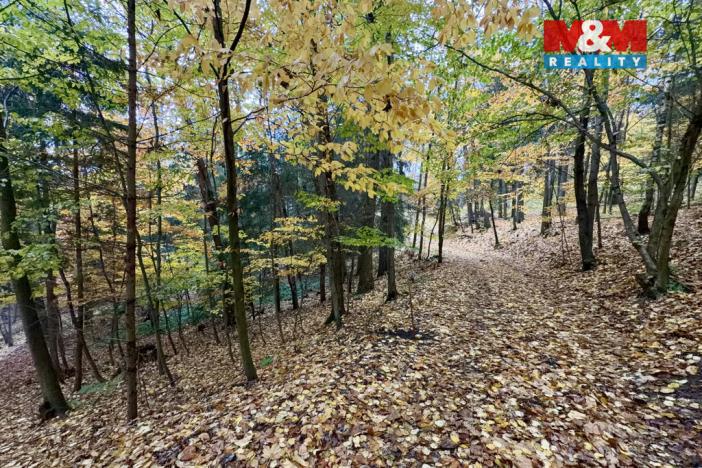 Prodej lesa, Jestřebí, 6855 m2