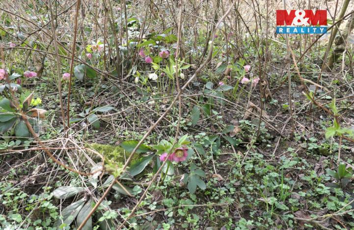 Prodej pozemku pro bydlení, Králův Dvůr, 1439 m2