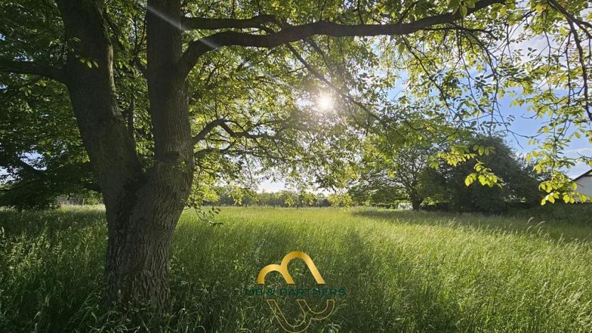 Prodej rodinného domu, Doubravička, 195 m2