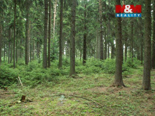 Prodej lesa, Manětín - Stvolny, 12970 m2