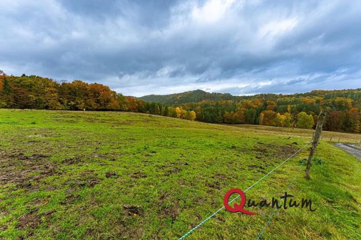 Prodej rodinného domu, Ždírec, 336 m2